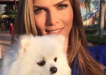 El dolor de perder a una mascota