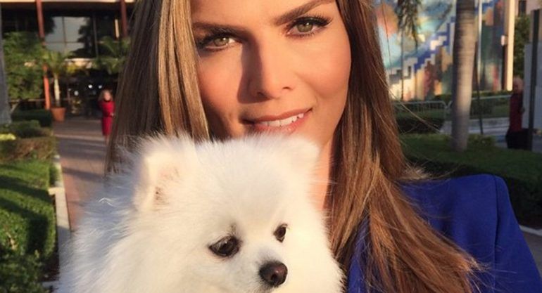 El dolor de perder a una mascota