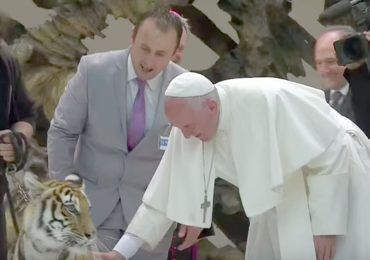 El papa Francisco y su encuentro con un tigre