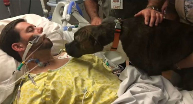 El último adiós de una perrita a su dueño