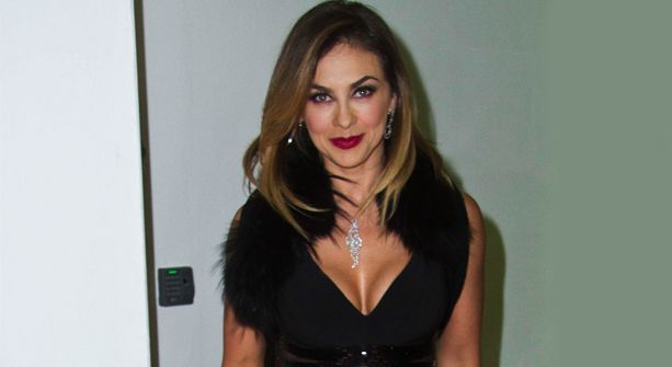 Es un padre responsable: Aracely Arámbula sobre Luis Miguel