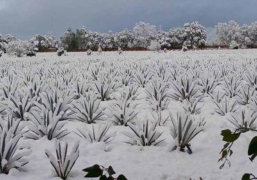 México bajo la nieve